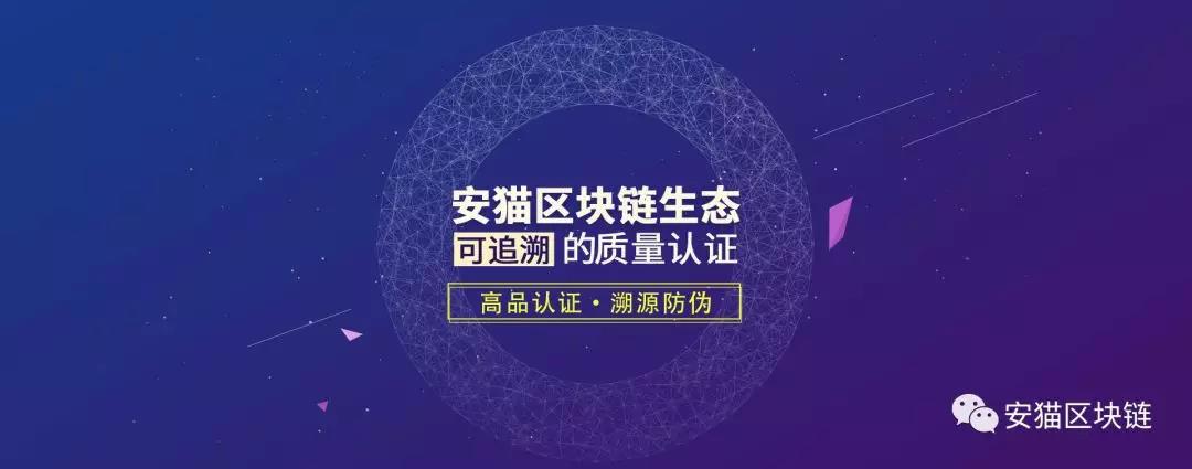 以太坊区块链链易查询_基于以太坊的区块链_区块链中以太坊的英文简称